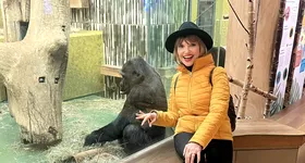 Galerie foto - poza 2