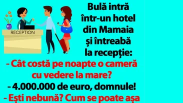 BANC | Bulă intră într-un hotel din Mamaia, întreabă cât costă o cameră și primește răspuns: 4.000.000 de euro
