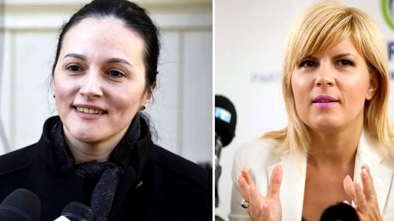 România a transmis oficial că sentinţele în cazurile Elenei Udrea şi Alinei Bica sunt valabile