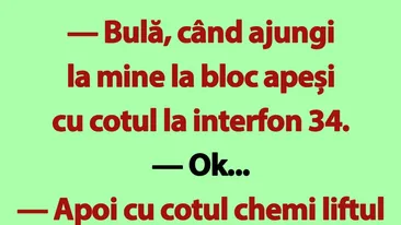 BANC | Bulă, când ajungi la mine la bloc apeși cu cotul la interfon 34