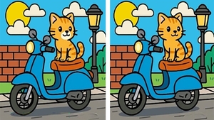 Test de logică | Puteți identifica toate cele 3 diferențe în cel mult 27 de secunde?