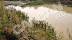Dupa Delta Vacarestiului, o alta oaza verde a aparut in Capitala! In loc sa se bucure, locuitorii sunt revoltati!