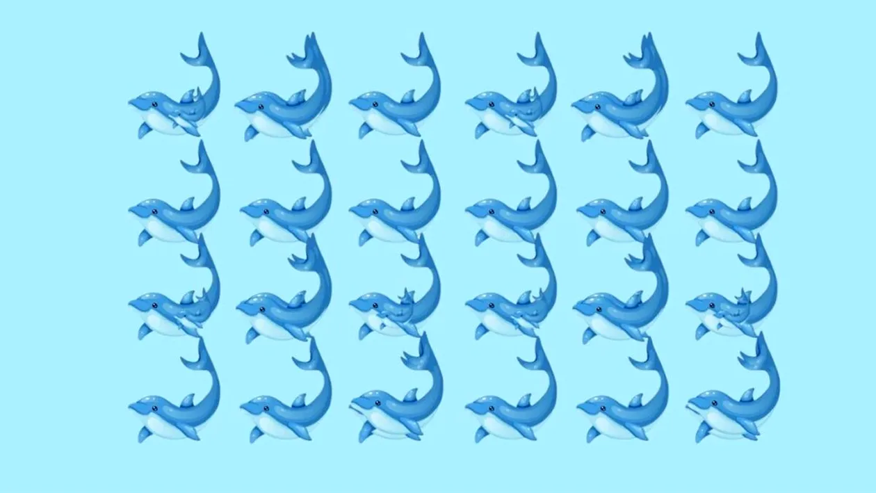 Test IQ exclusiv pentru genii | Câți delfini sunt, de fapt, în această imagine?