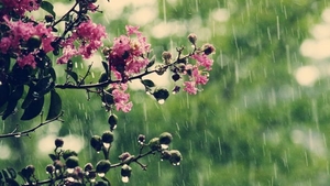 METEO 26 MAI. Nu uitaţi umbrelele. Ploile vor fi prezente şi azi 