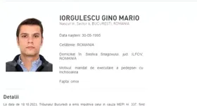 Galerie foto - poza 2