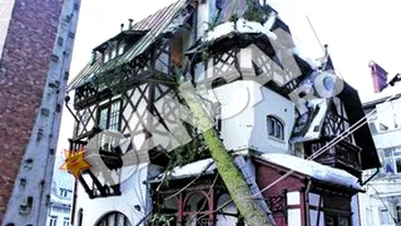 Furia naturii pe Valea Prahovei. Vijelia a facut prapad!