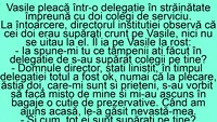 BANC | Vasile, ce tâmpenii ați făcut în delegație, de s-au supărat colegii pe tine?