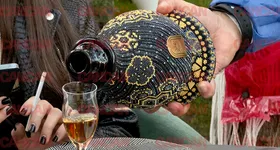 Galerie foto - poza 2