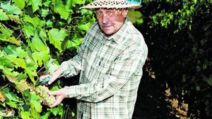 Zilierii vor plati un impozit de 16%