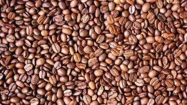 Iluzie optică dificilă | Poți găsi fața care se ascunde în aceste boabe de cafea, în doar 10 secunde?