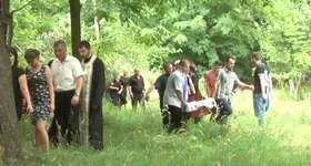 Galerie foto - poza 3