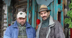 Galerie foto - poza 4