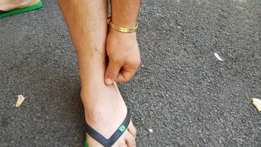 Invazie de purici la Arad, oamenii sunt atacaţi pe stradă de insecte. Mai rău ca în Evul Mediu