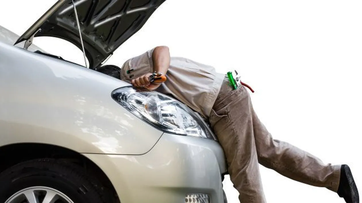 N-o să-ţi vină să crezi ce animal îşi făcuse culcuş sub capota acestei maşini! Află cum a fost descoperit!