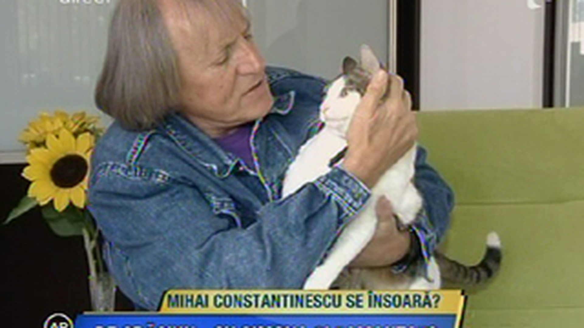 Ce ironie! Cel care canta "Iubiti si cainii vagabonzi" va petrece Craciunul cu o pisica!