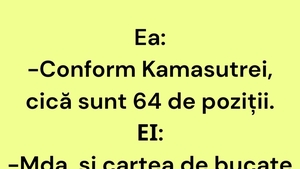 BANC | Cele 64 de poziții din Kamasutra
