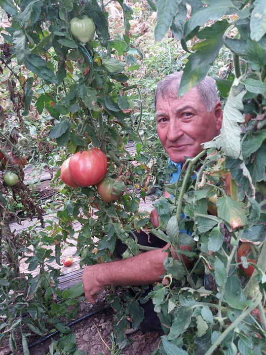 Unul din fermierii care s-a înscris la concurs