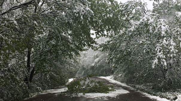 METEO 14 IANUARIE! ANM a emis cod galben de vânt! Care sunt zonele vizate