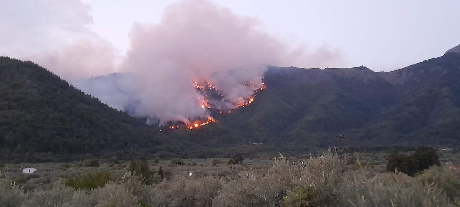 Imagini de la prima oră a dimineții cu evoluția incendiului. Foto: Facebook