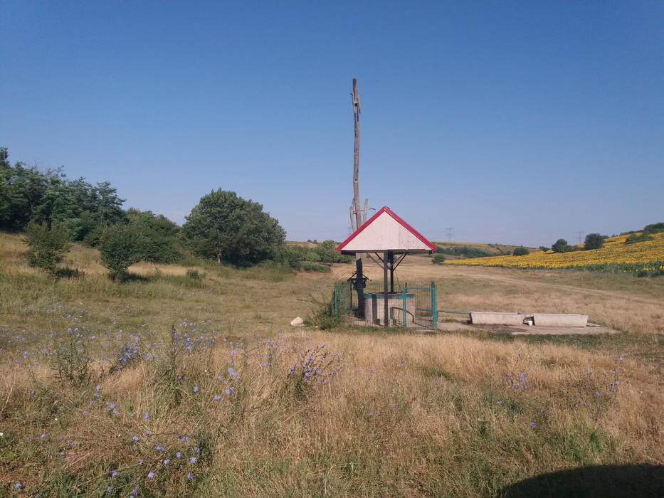 Bucicani, un loc rupt de lume, de care nu a auzit nici COVID-ul