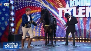 Andi Moisescu: "Mi-a placut calul vostru" Moment FABULOS la Romanii au Talent! Calul Levante a facut SHOW!