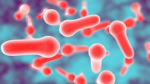 Un bărbat din Rădăuți a mâncat gogoșari în oțet, iar acum este internat în spital și diagnosticat cu... botulism