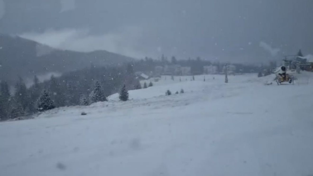 Ninsoare ca în povești în România! Stratul de zăpadă depus atinge câțiva centimetri