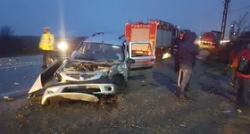 Galerie foto - poza 4