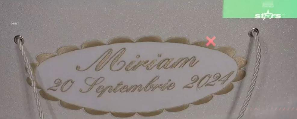 Marian Mexicanu și soția lui au avut parte de o nuntă de vis. Foto: captură Antena Stars