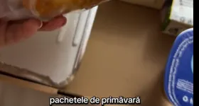 Galerie foto - poza 4