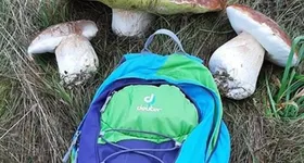 Galerie foto - poza 2