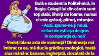 BANC | Bulă e student la Politehnică. Colegii lui din cămin sunt toți slabi, lihniți de foame, numai el este grăsuț