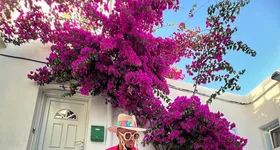 Galerie foto - poza 3