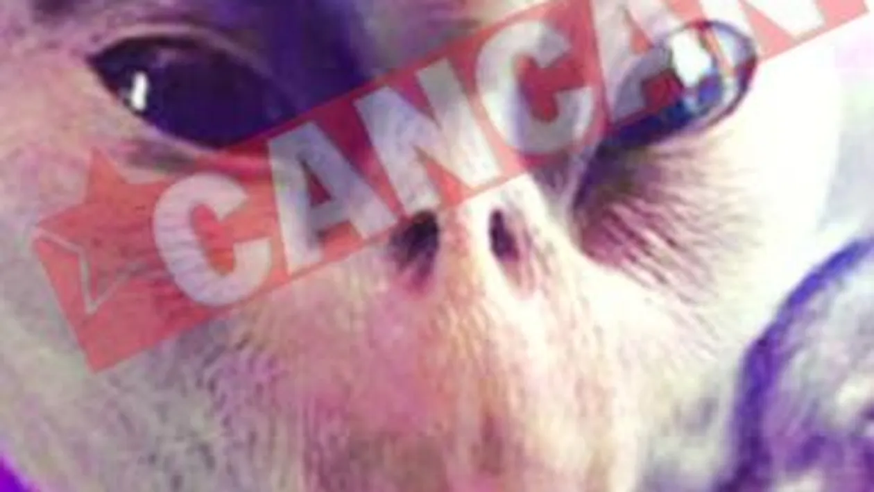 Cer Guvernului teren pentru o ambasada intergalactica