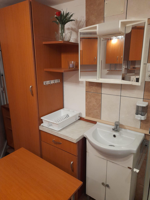Garsoniera din Târgu Mureș care a creat un val de controverse. Patul e lângă bucătărie, iar dușul lângă birou: ”Unde e toaleta?!”