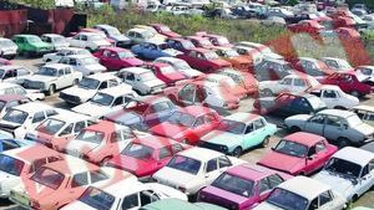 Posesorii de rable au pornit numaratoarea inversa