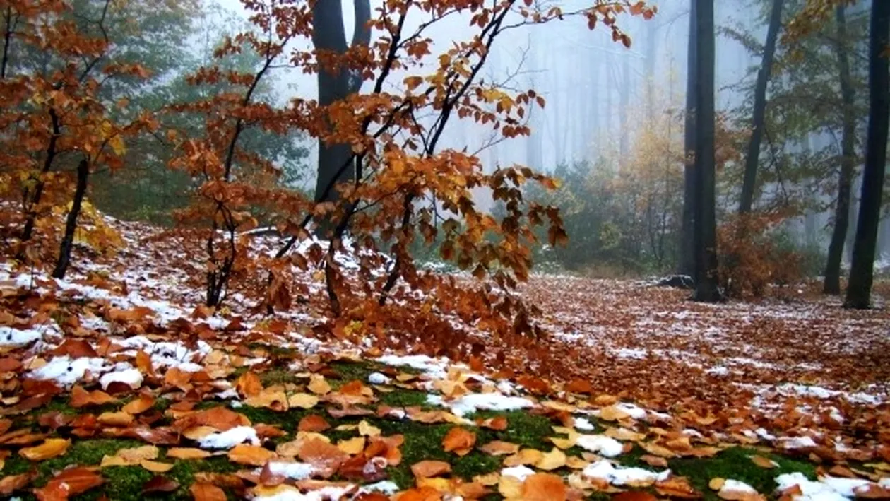 ANM: cum va fi vremea în luna noiembrie! NU e normal aşa ceva în România