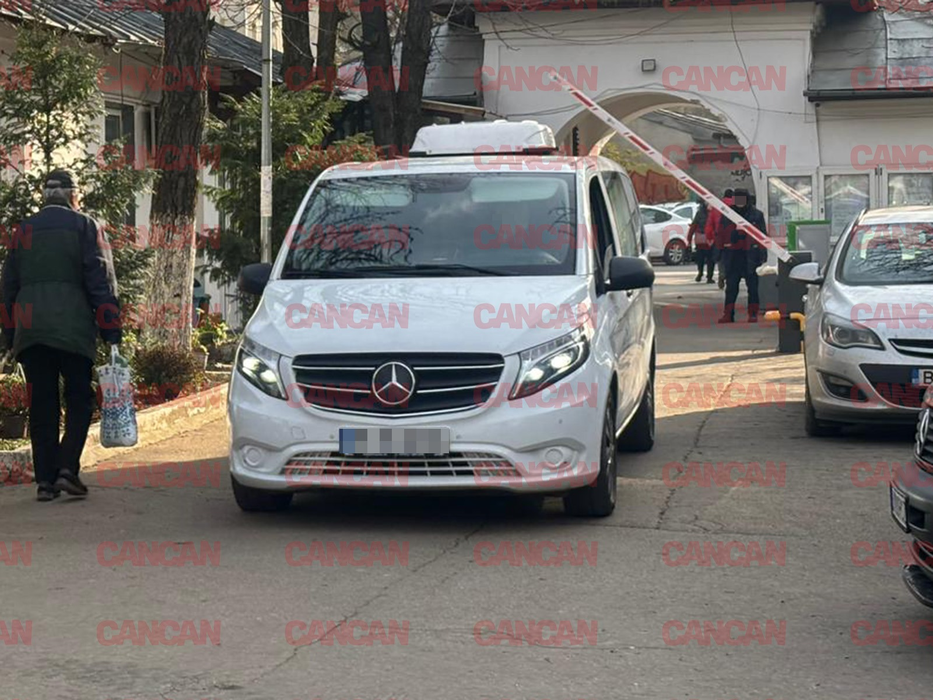 Rodica Stănoiu, din nou înmormântată, după necropsie. Trupul neînsuflețit al fostului ministru, ridicat de la INML