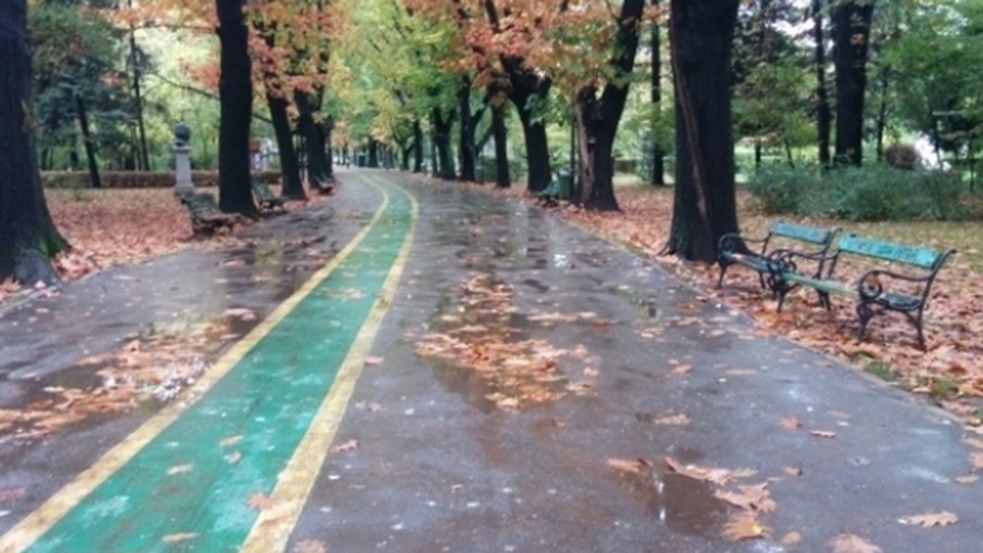 METEO 29 noiembrie. Afla cum va fi vremea duminica inainte sa iesi din casa