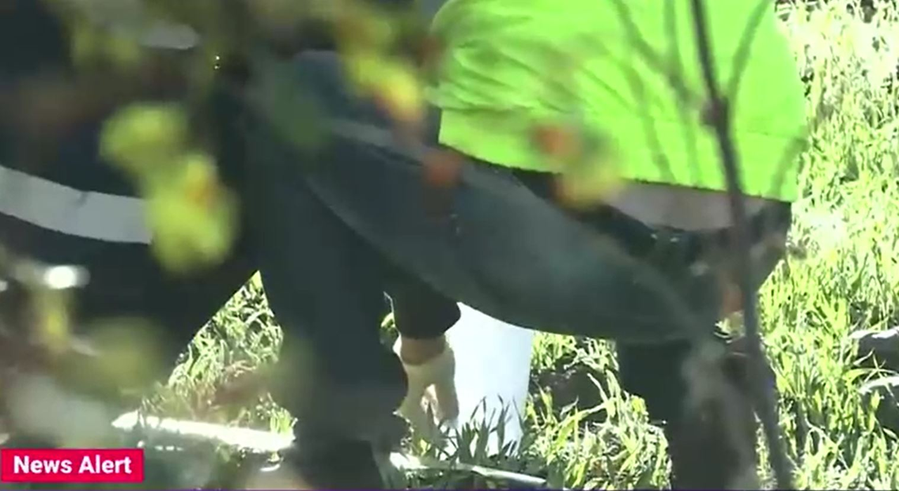 Fragmente osoase, aparent umane, descoperite pe un câmp de la marginea Bucureștiului. Ce lucruri au găsit criminaliștii când au ajuns la fața locului