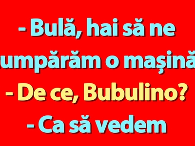 BANC | Bulă, Bubulina și noua mașină
