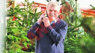 "Vama" si-a luat un brad de... nu poate sa-l care