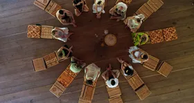 Galerie foto - poza 1