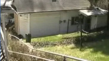 VIDEO Un obez care a stat blocat doi ani intr-un fotoliu, dus la spital in urma unei operatiuni de salvare