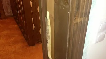 A poftit la ea in creierii noptii si a vrut sa o ia cu forta! Liviu Guta, acuzat de tentativa de viol de o blonda celebra