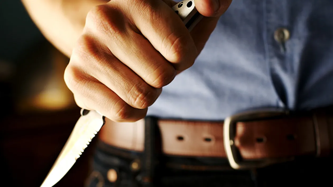 Bărbatul care a încercat să intre în Palatul Buckingham cu un cuţit a primit 16 luni de închisoare