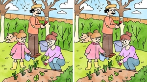 TEST IQ | Câte diferențe sunt între aceste 2 imagini? Doar geniile le văd pe toate
