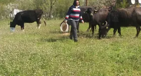 Galerie foto - poza 4