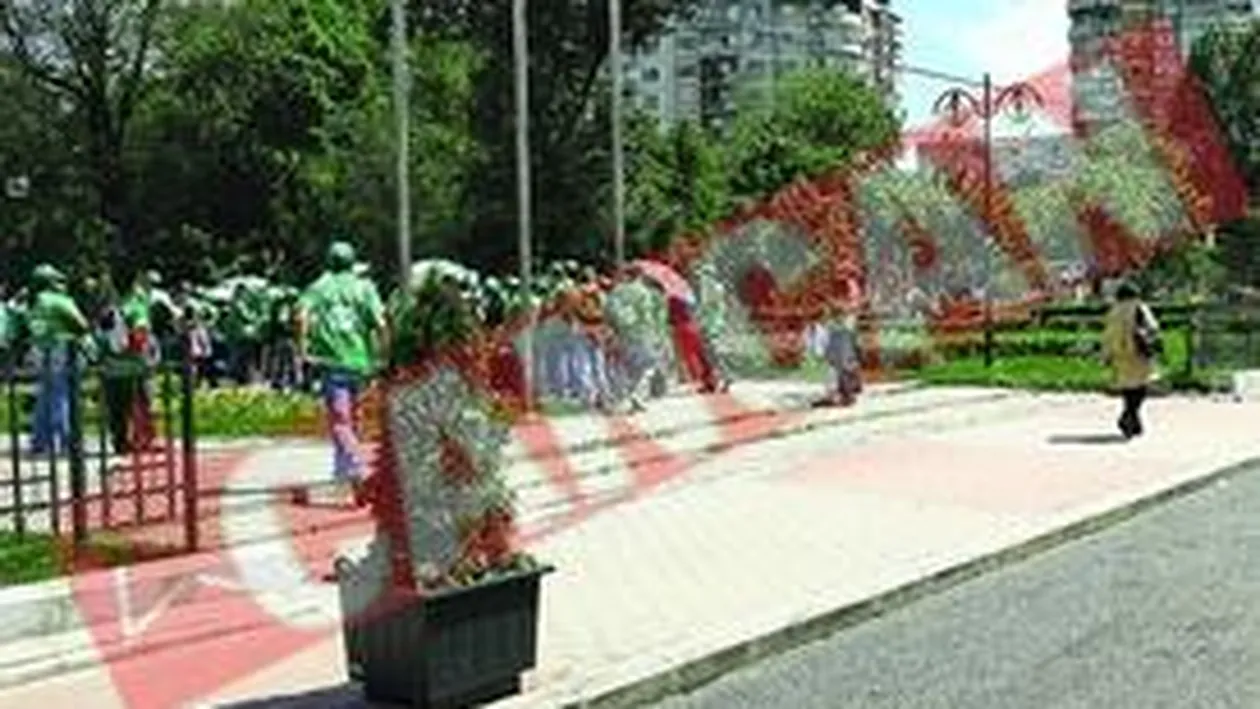 Un candidat al lui Gigi Becali, calcat de masina