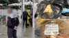 British School of Bucharest, prima reacție după ce ANSVSA a confiscat 60 de kg de alimente expirate: „Au fost păstrate într-un congelator!